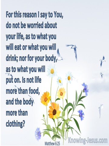 Matthew 6:25 Do Not Be Worried About Your Life (blue)